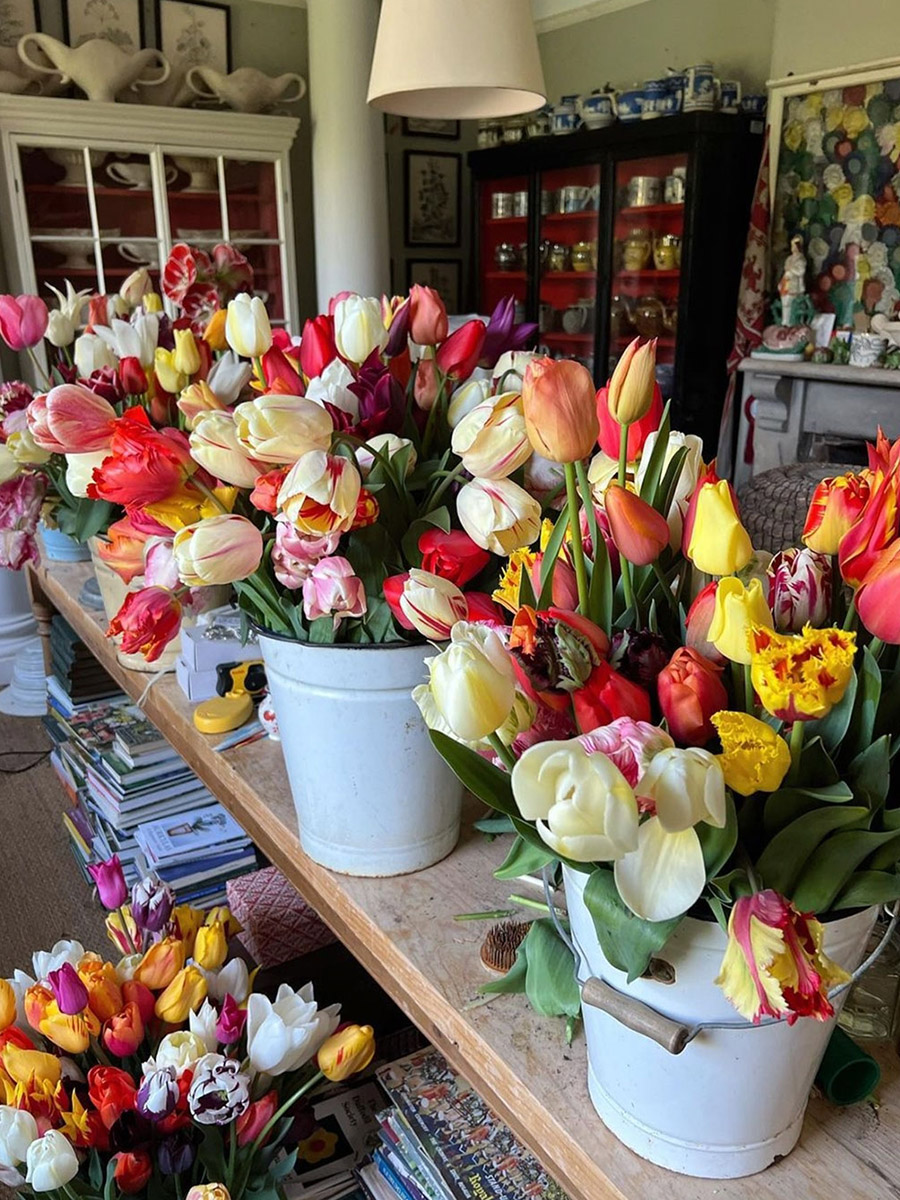 Tulip buckets by cabbages_and_roses