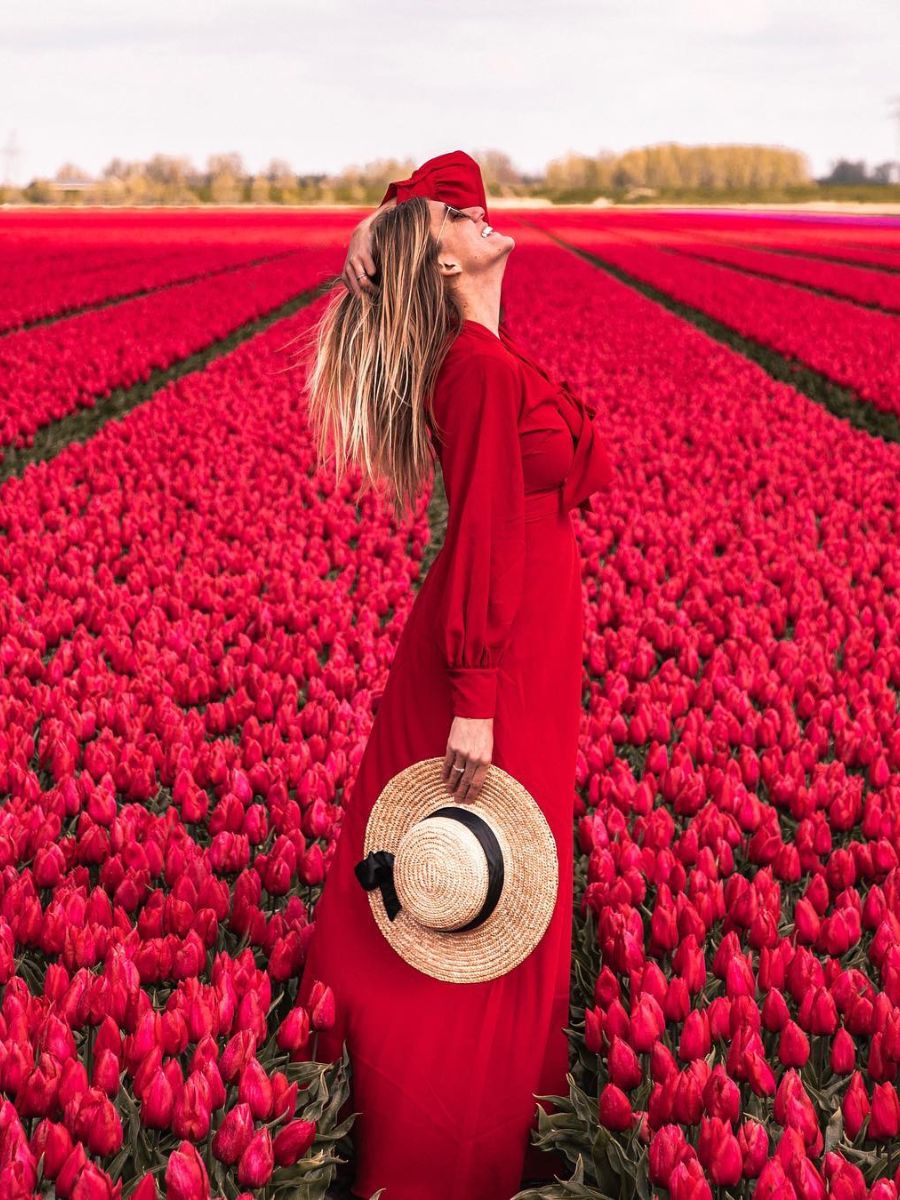 Goeree Overflakkee one of the best tulip fields in Holland