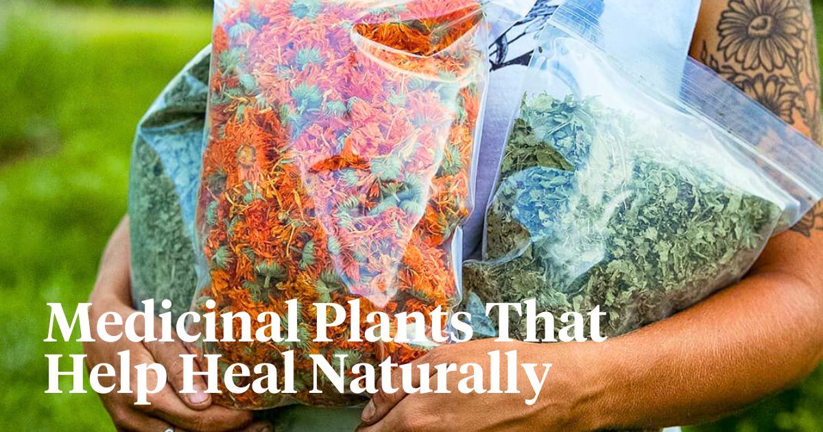 Medicinal plants are natural healers