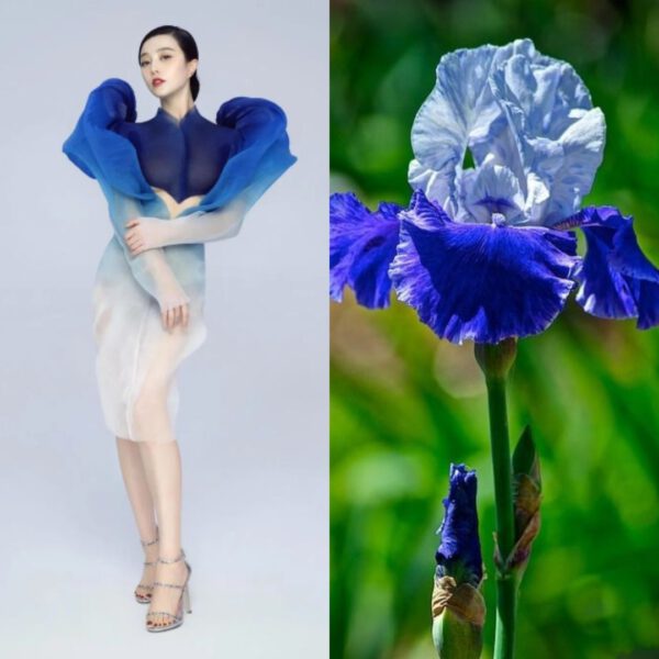 A Love Affair Between Fashion and Flowers - blue apple - Eman Hussein photography - article on thursd 32