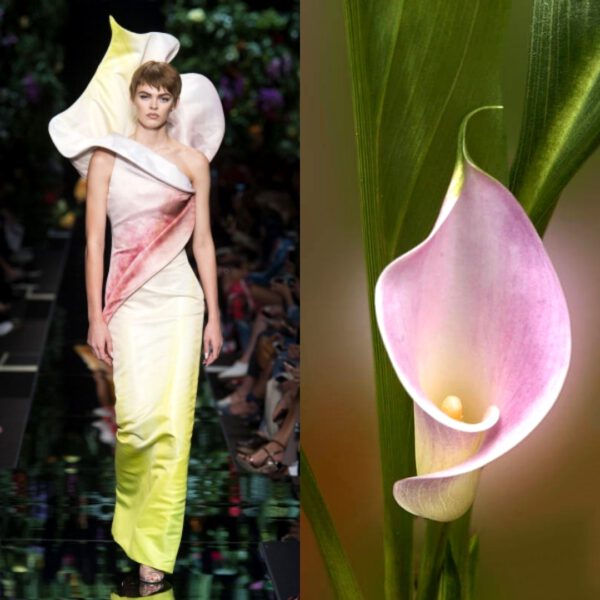 A Love Affair Between Fashion and Flowers - Article onThursd