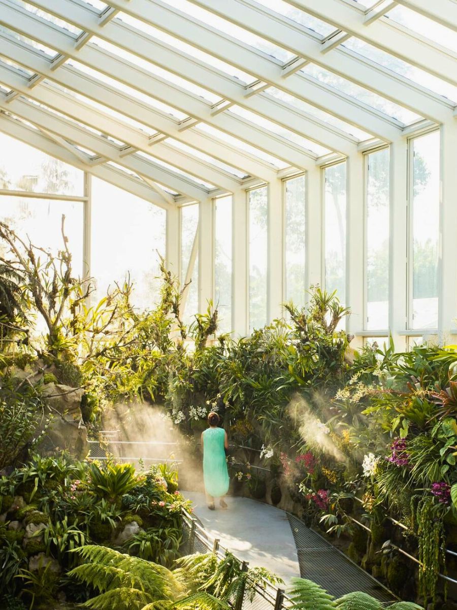 Dusk light at the National Orchid Center