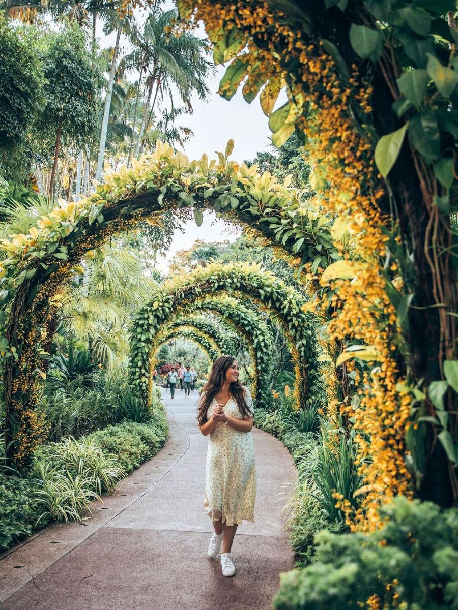 Arches with leaves and yellow flowers