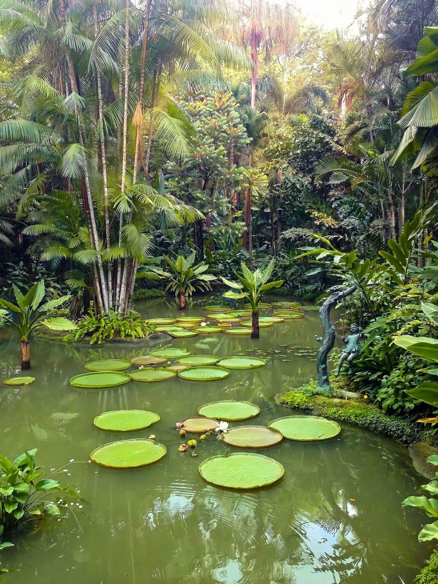 Outdoor green spaces and ponds at the Gardens