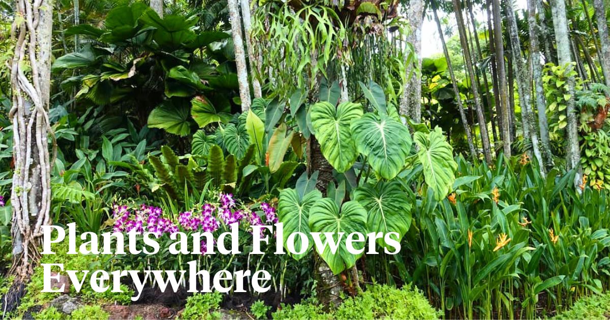 Singapore Botanic Gardens filled with plants and flowers