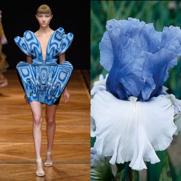 A Love Affair Between Fashion and Flowers - Article onThursd