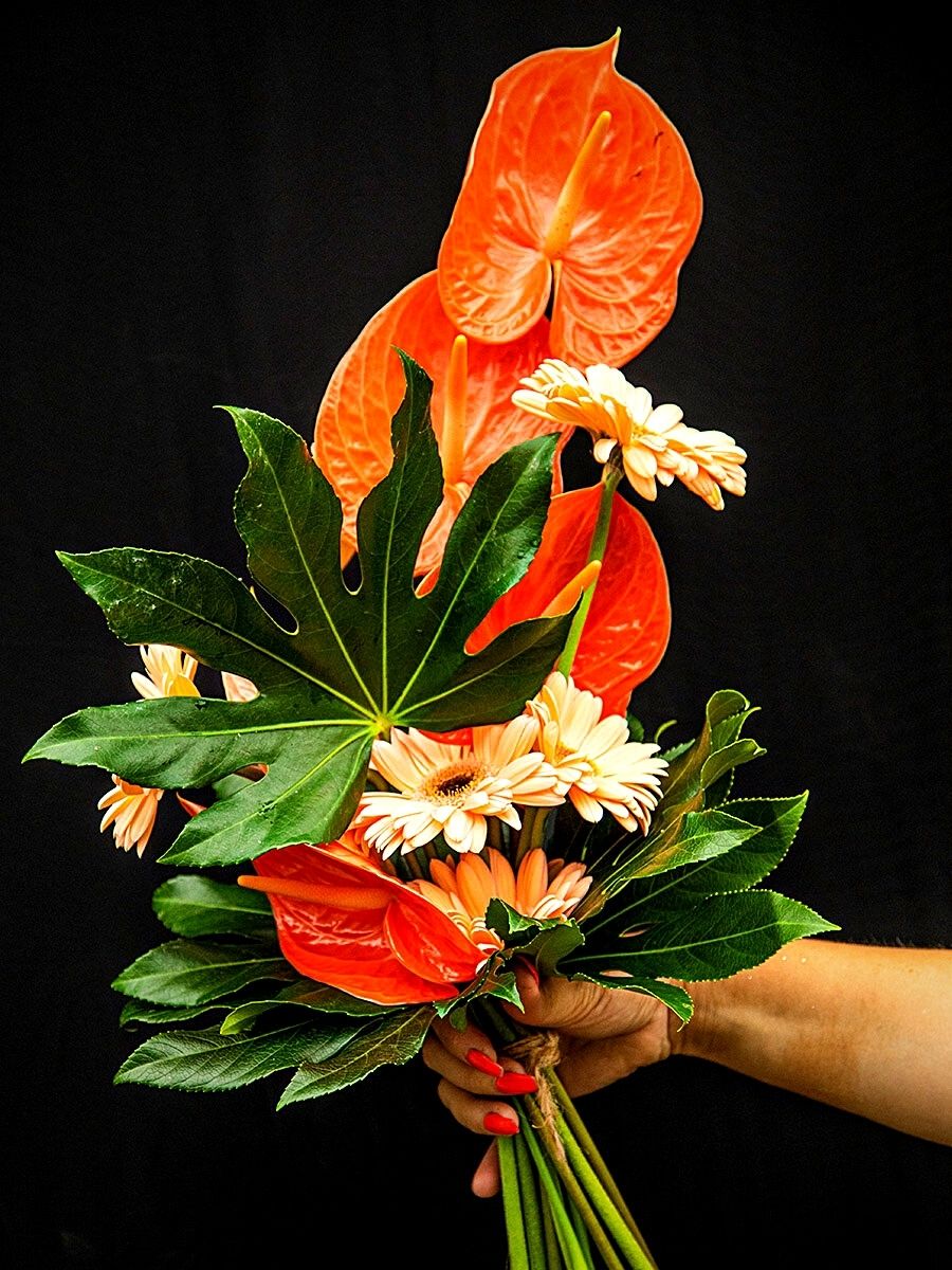 Adomex’s Exotic Aralia Is a Versatile Element in Floral Designs