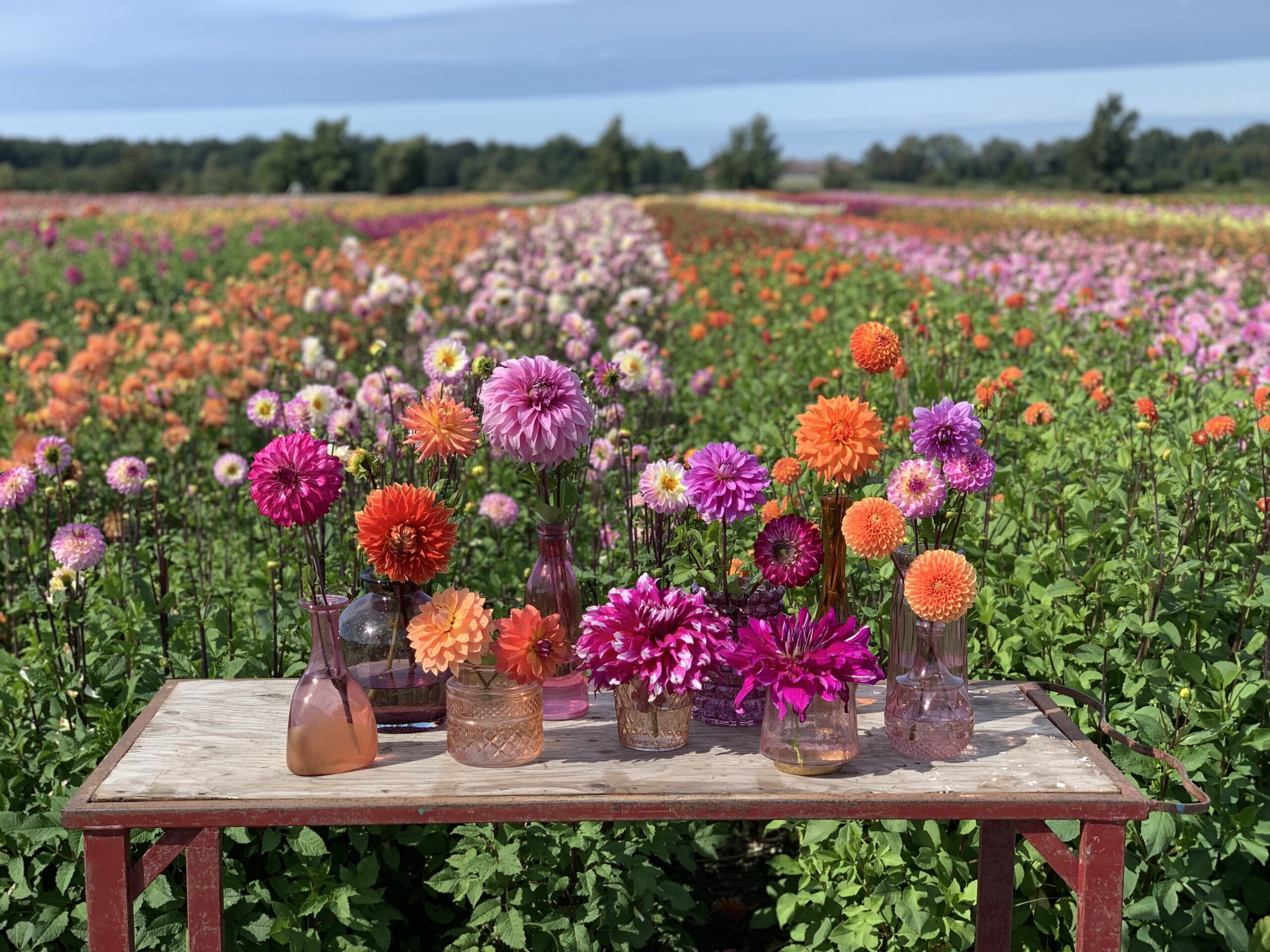 Fam Flower Farm Blog On Thursd
