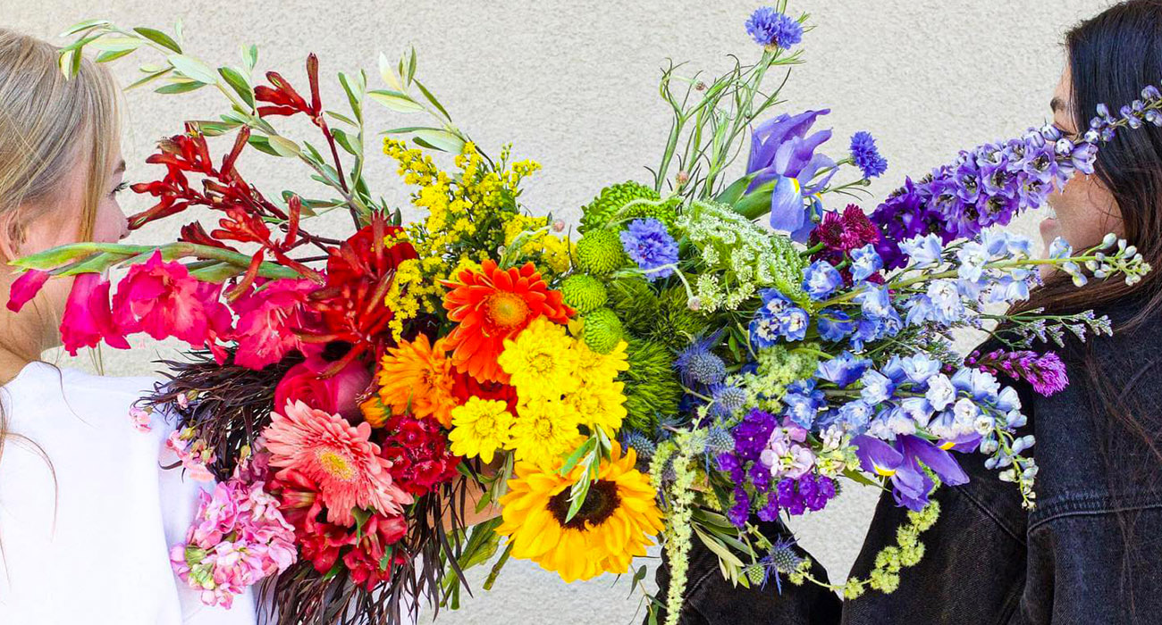 Palmer Flowers Greeley florist on Thursd header