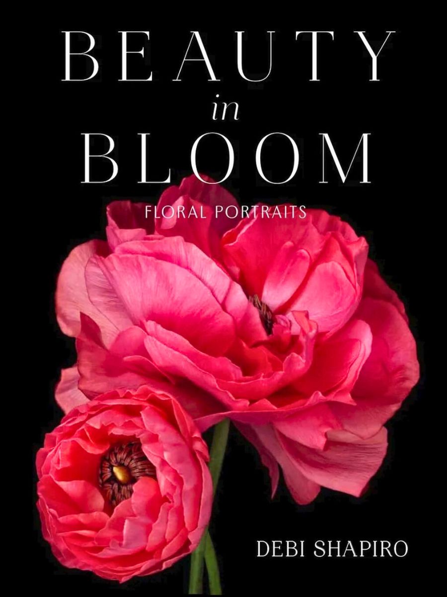 Beauty in Bloom book by Debi Shapiro