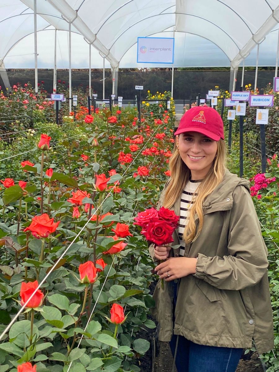 Visiting and seeing rose growth and production at Plantador