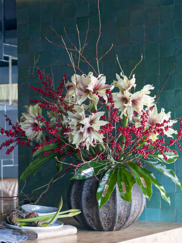 Curious How To Create a Feeling of Elegance With Warm and Durable Materials - amaryllis design - bloom's christmas trend article on thursd