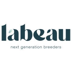 Labeau - Breeder featured on Thursd