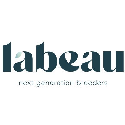 Labeau - Breeder featured on Thursd