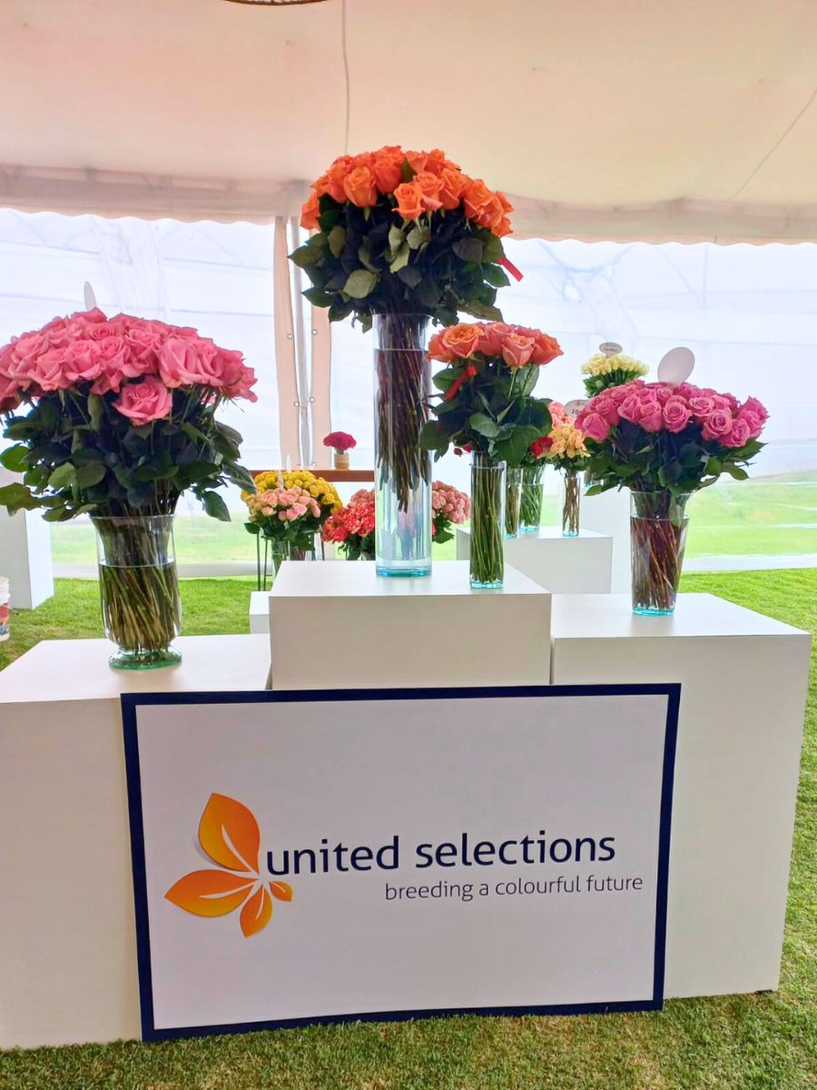 United Selections rose varieties