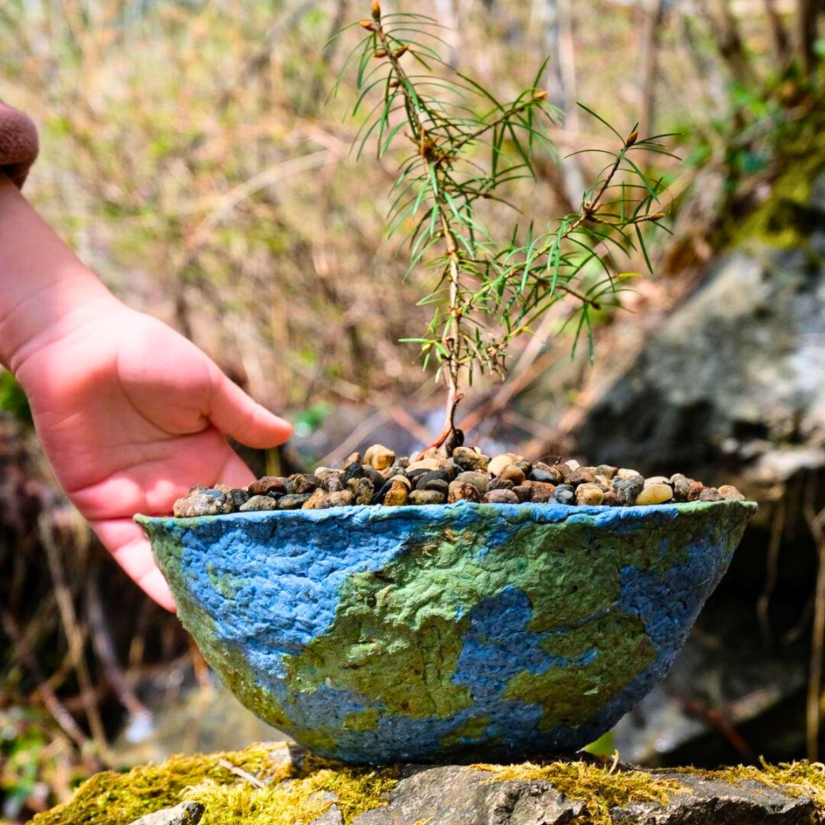 Planting your own plants and trees for Earth Day