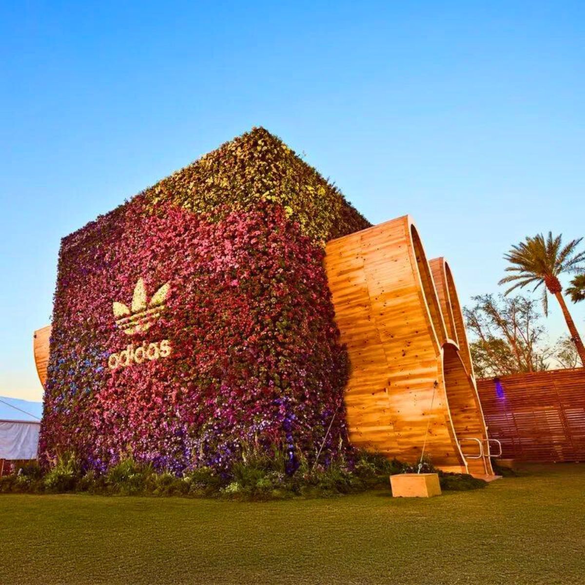 Cube installation with plants and flowers for Adidas