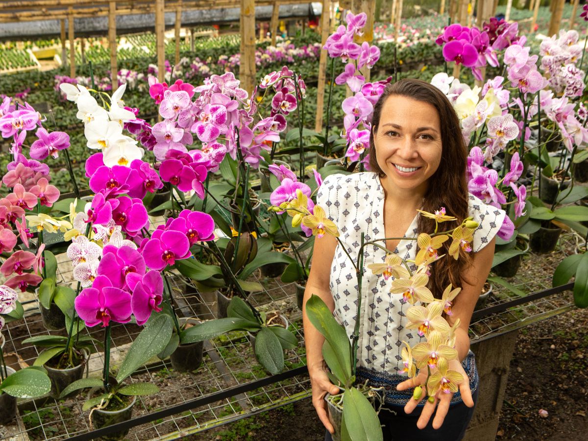 Judith with different phalaenopsis orchid varieties