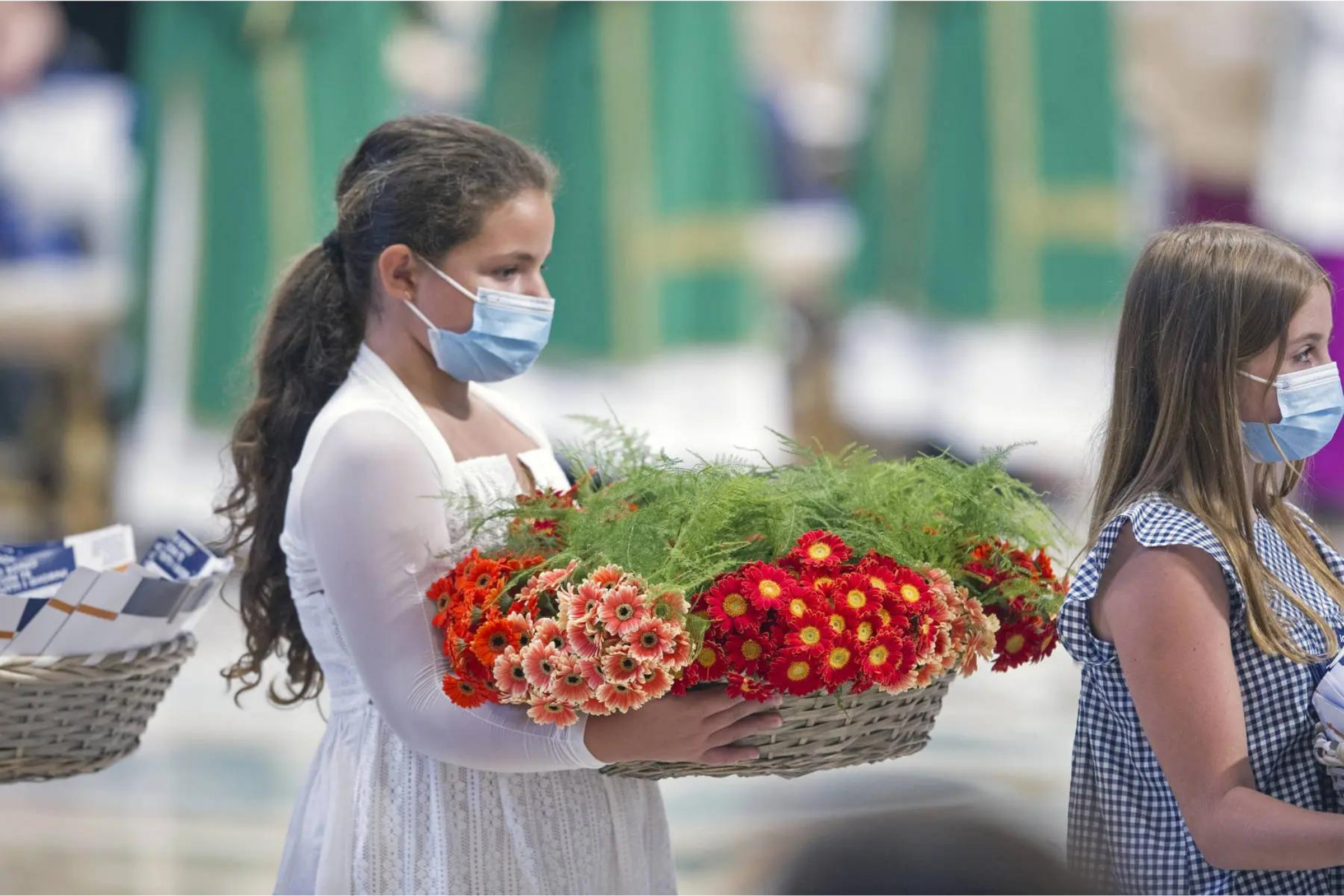 Flowers Help Deliver the Pope’s Blessing For First World Day for Grandparents and Elderly Piccolini mini gerbera