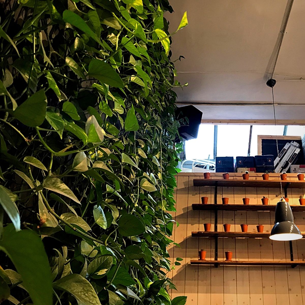 Living Walls for Your Workspaces