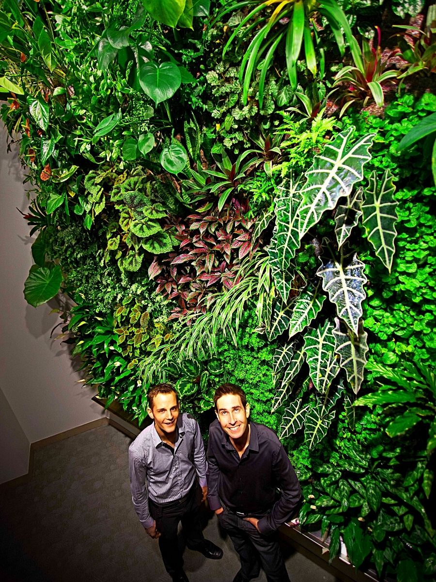 Living Walls for Your Workspaces