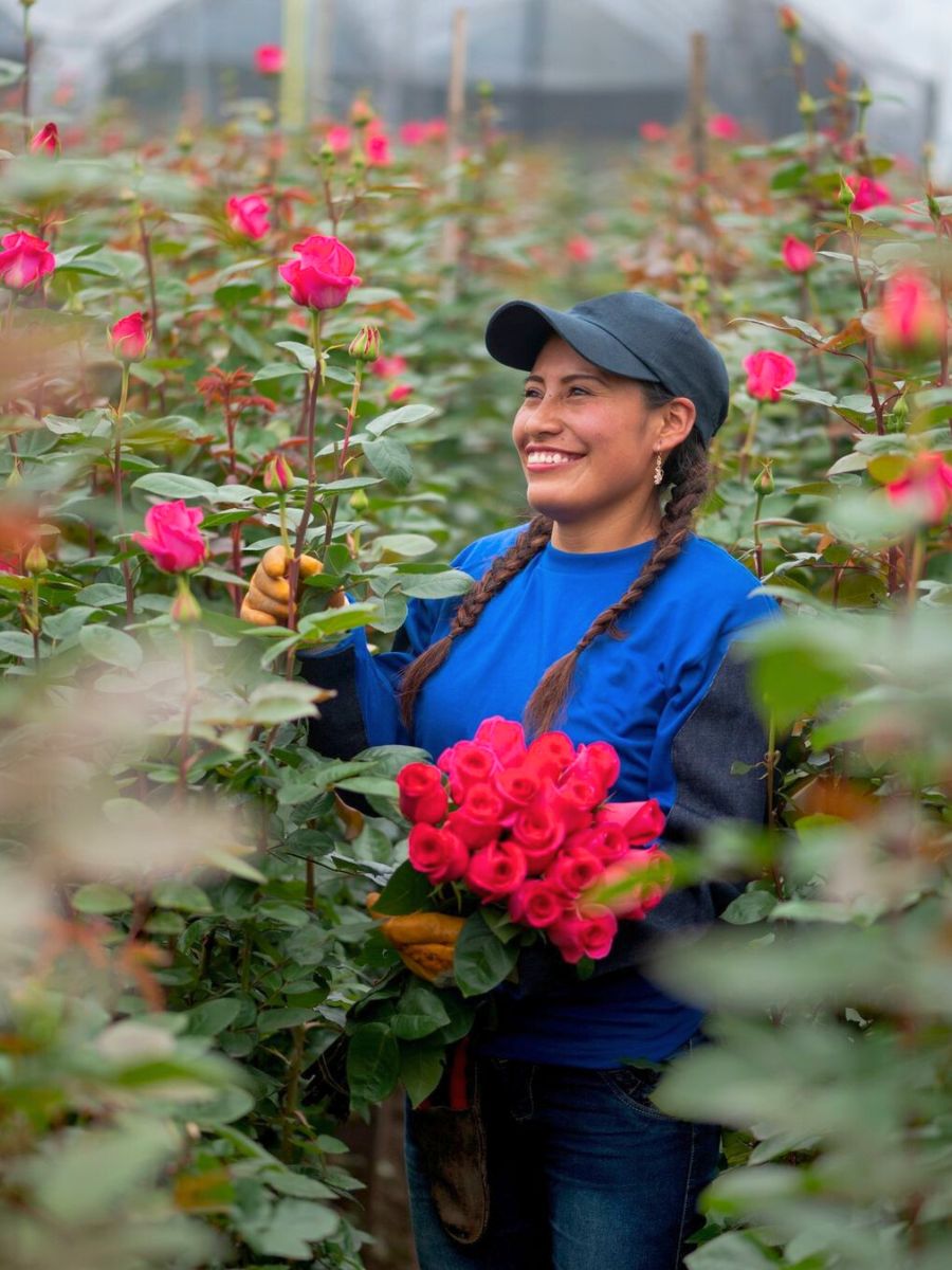 Mystic Flowers from Ecuador