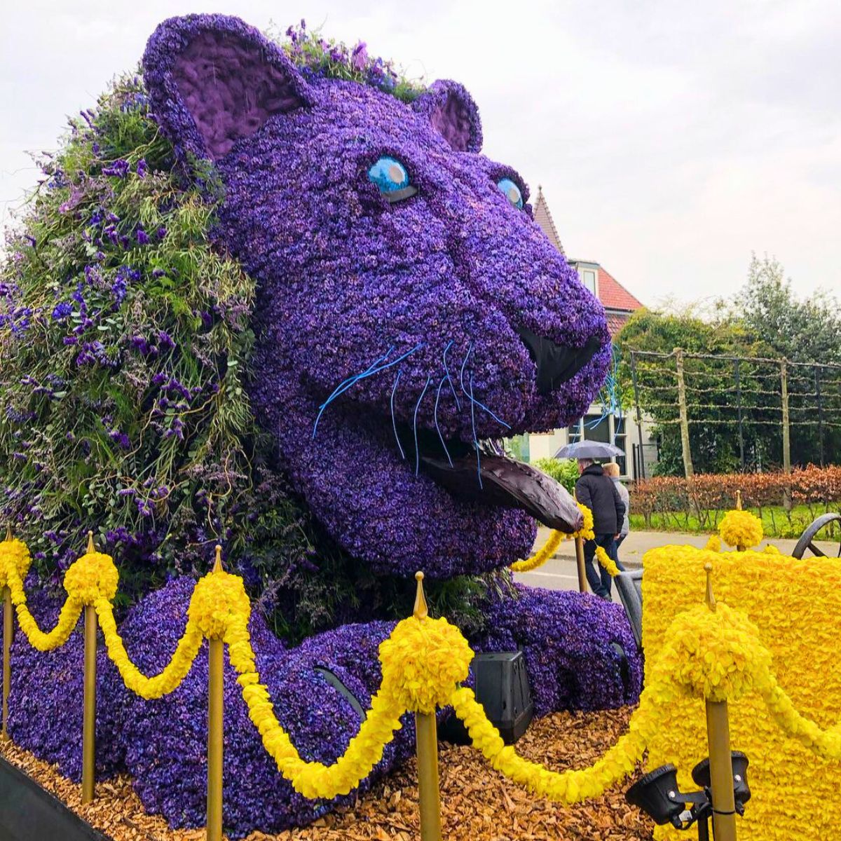 Flower lion for the Dutch Flower Parade