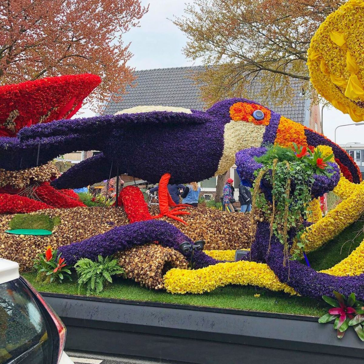 A toucan made out of flowers