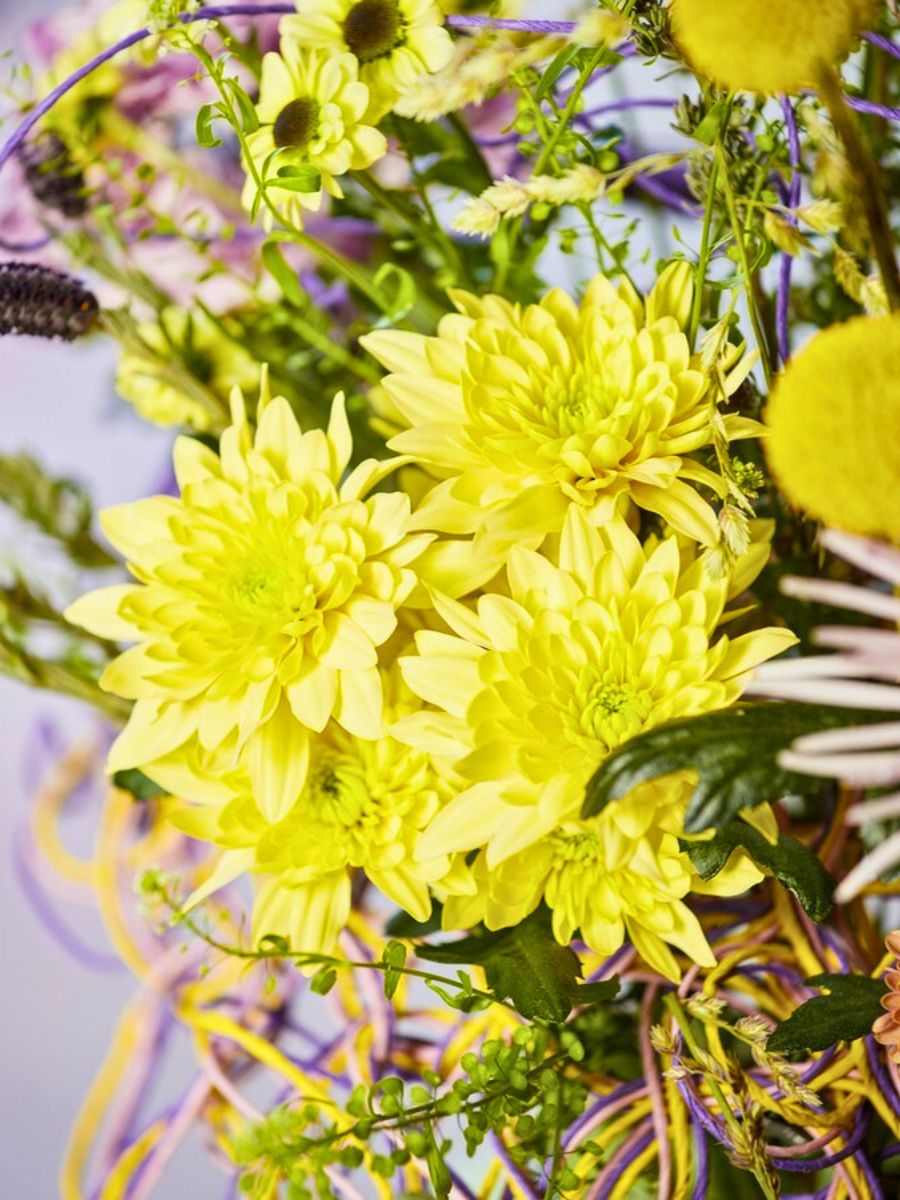 Yellow chrysanthemums in an arrangement