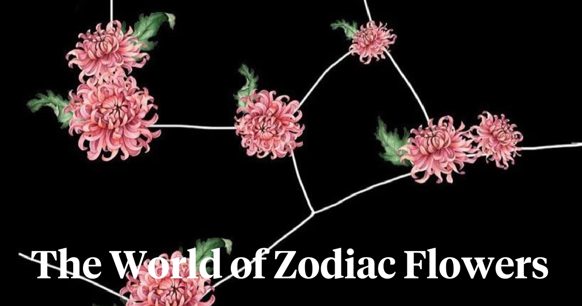 The world of zodiac flowers header