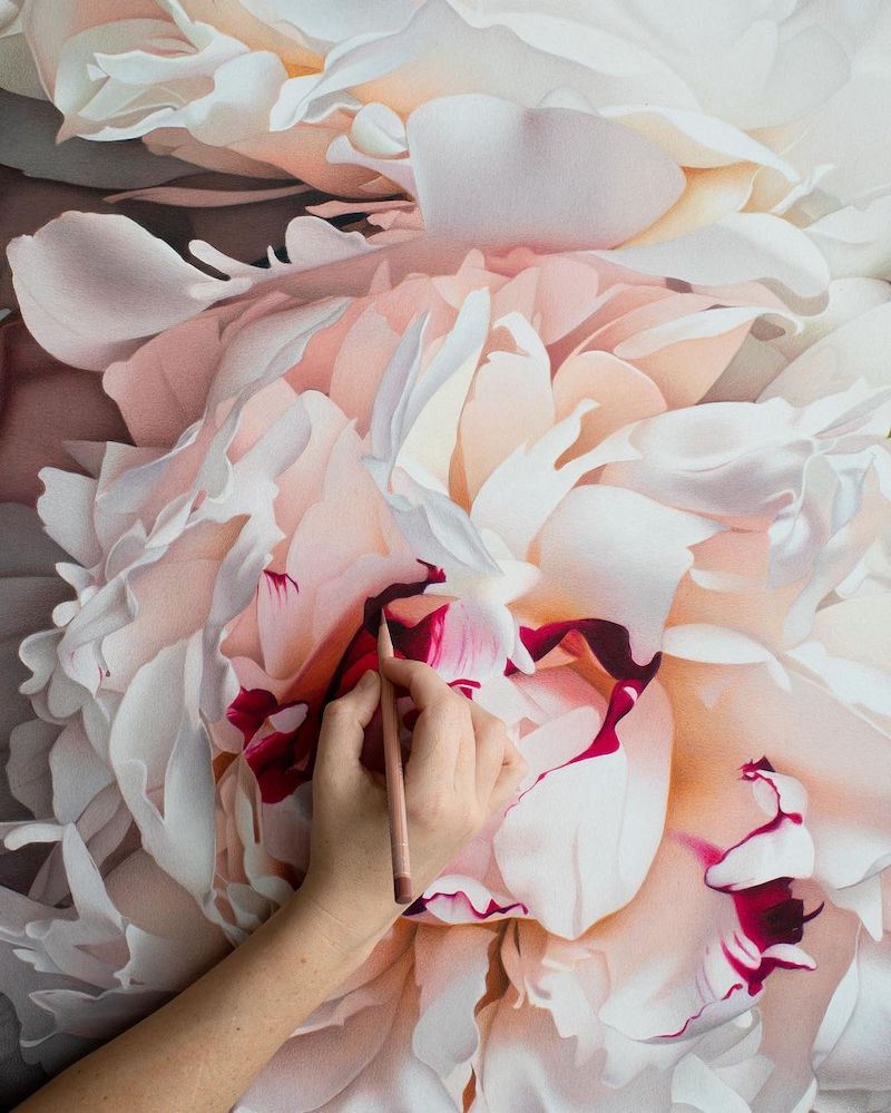 Silky Flowers Emerge from CJ Hendry’s Gigantic Hyperrealistic Drawings Peony Drawing