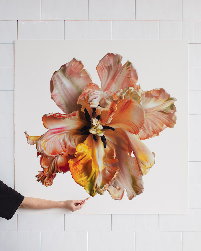 Silky Flowers Emerge from CJ Hendry’s Gigantic Hyperrealistic Drawings Flower Art