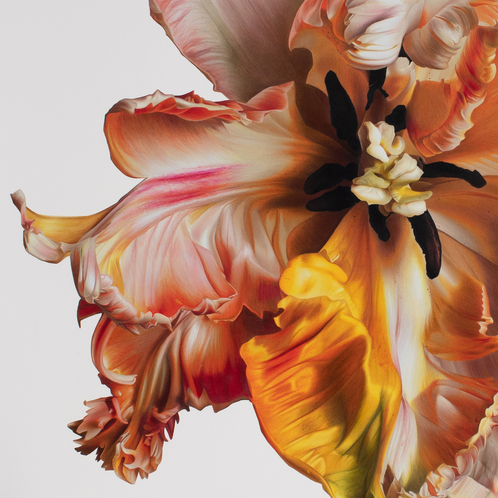 Silky Flowers Emerge from CJ Hendry’s Gigantic Hyperrealistic Drawings Flower Art