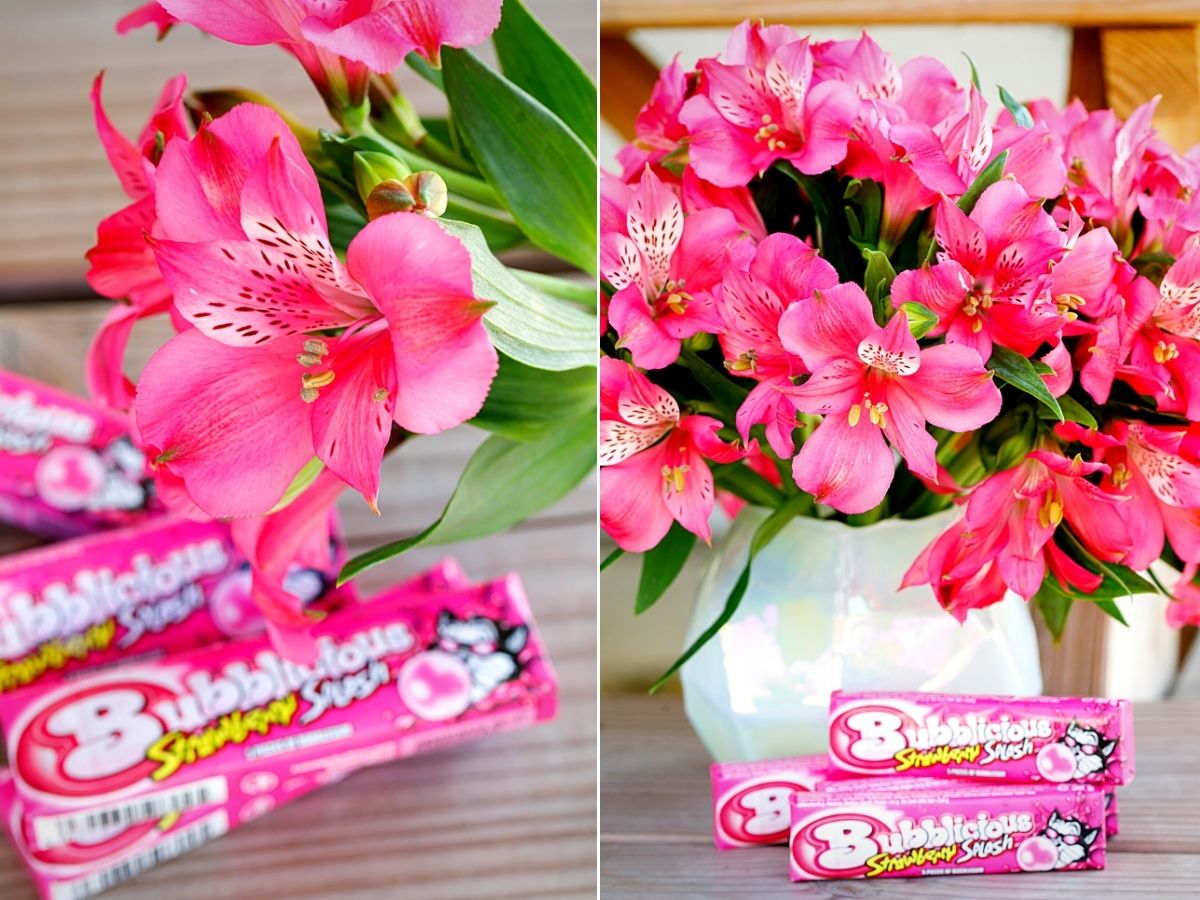 ​​Alstroemeria Bubblicious - A Versatile Bright Pink Beaut​iful ​Astro