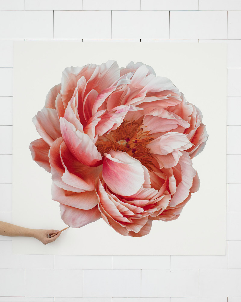 Silky Flowers Emerge from CJ Hendry’s Gigantic Hyperrealistic Drawings Floral Art
