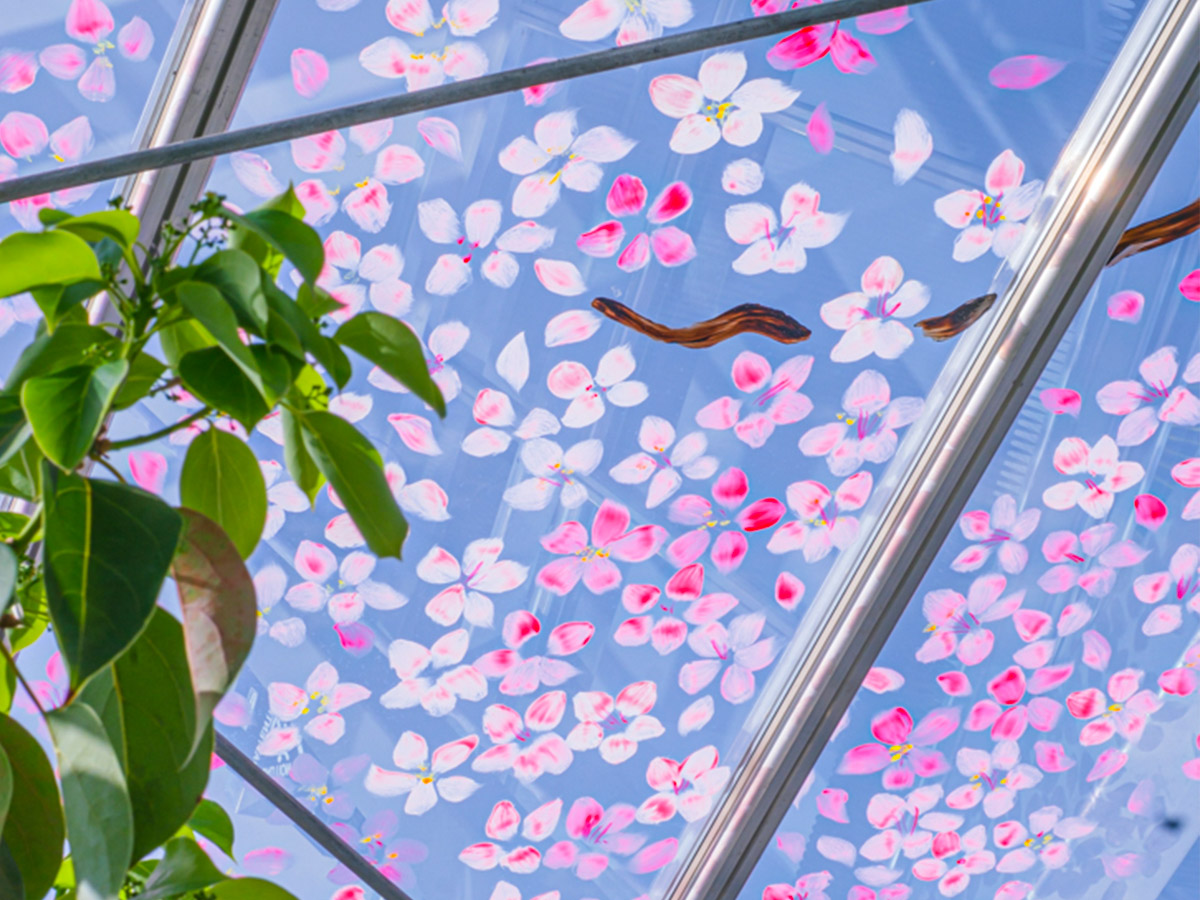 Johanna Lykkes Sakura petals
