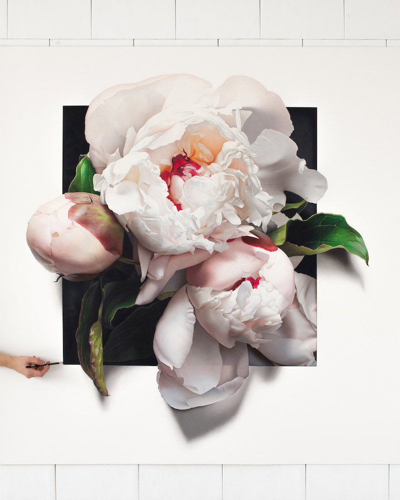 Silky Flowers Emerge from CJ Hendry’s Gigantic Hyperrealistic Drawings Floral Art