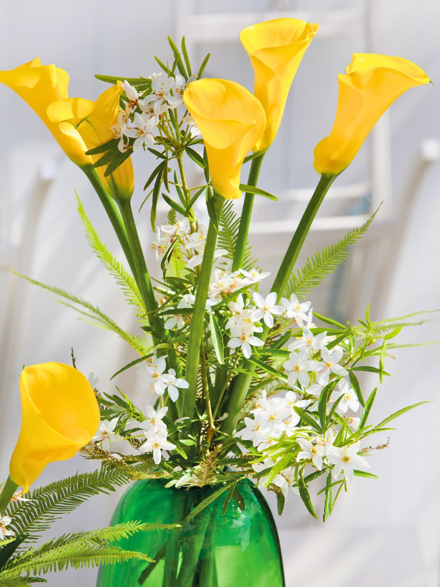 Combination of yellow calla and white flowers