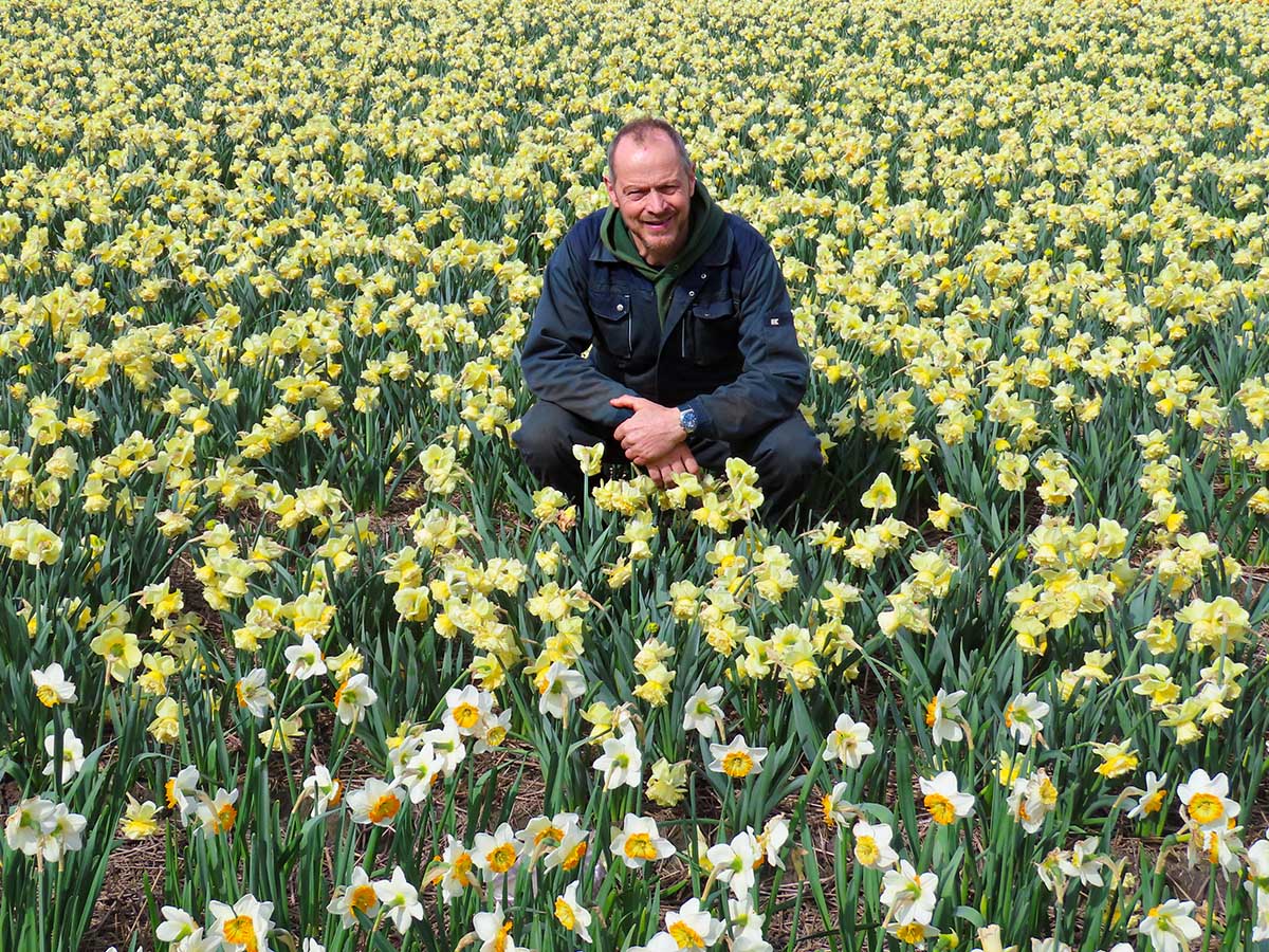 Nick van der Zon in yellow Narcissus field