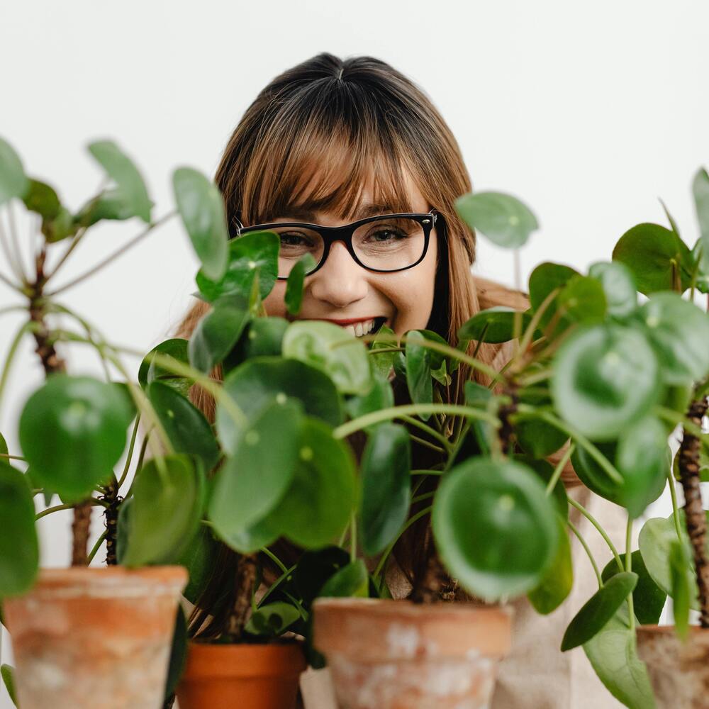 happiness with home plants