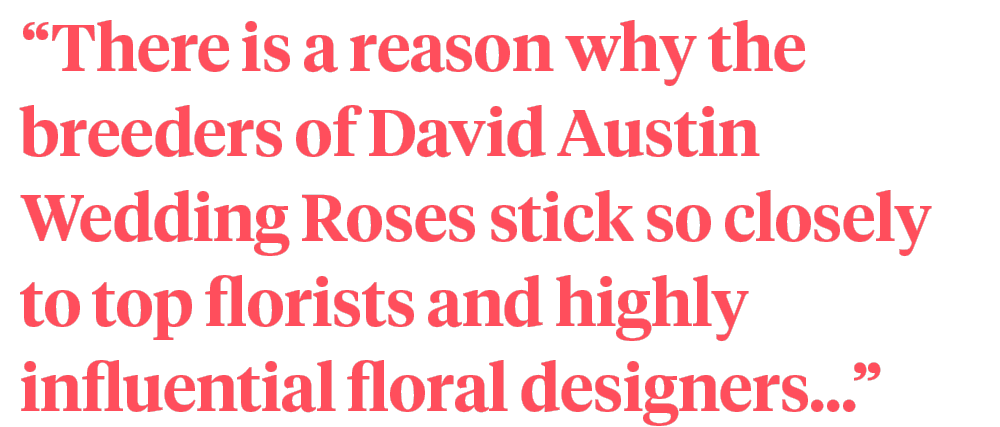 David Austin 6 Florist Blogs quote