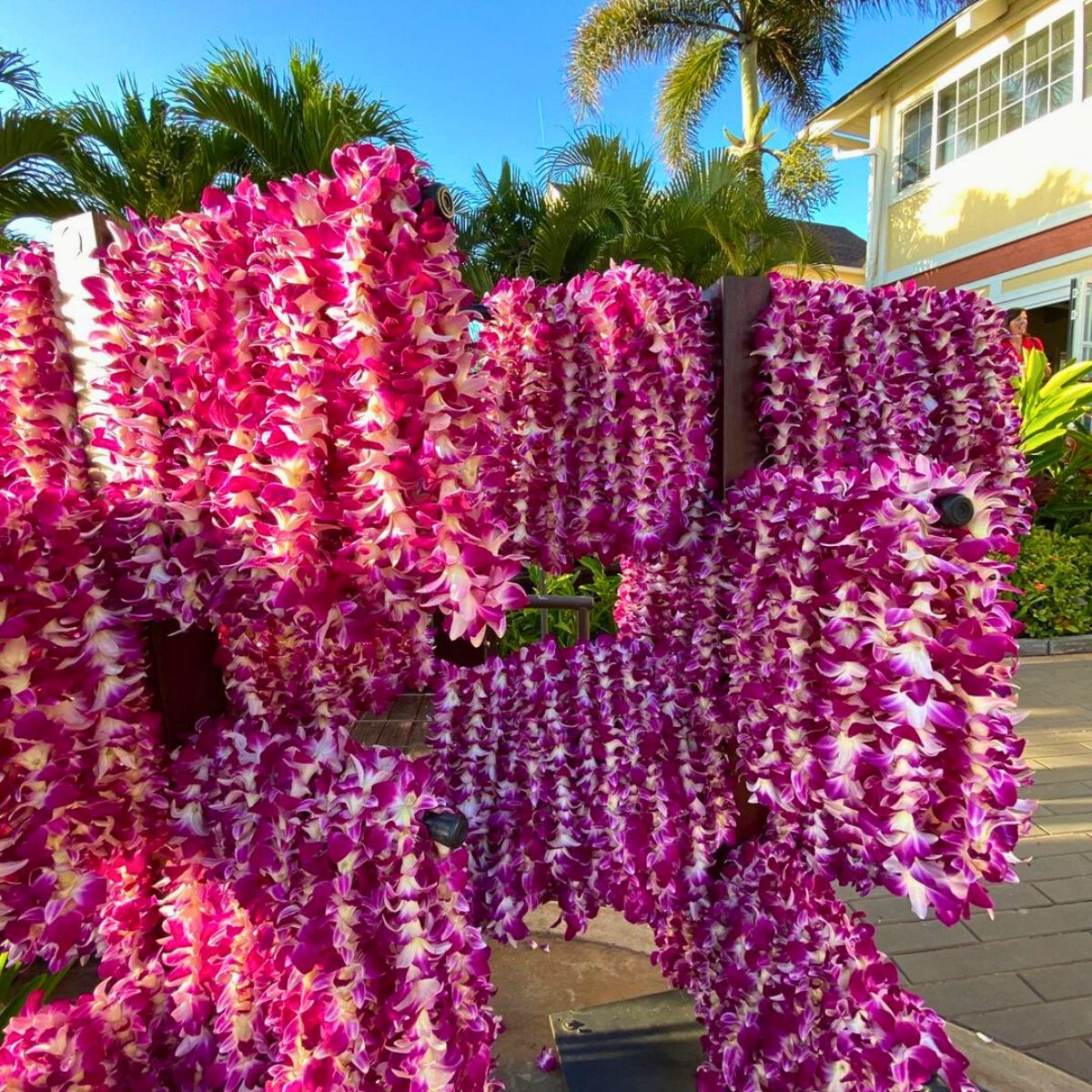 Orchid leis ready