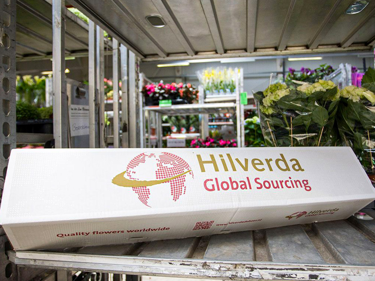Hilverda De Boer Global Sourcing box