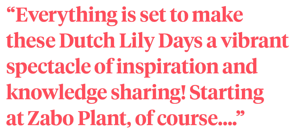 Zabo Plant Dutch Lily Days quote on Thursd