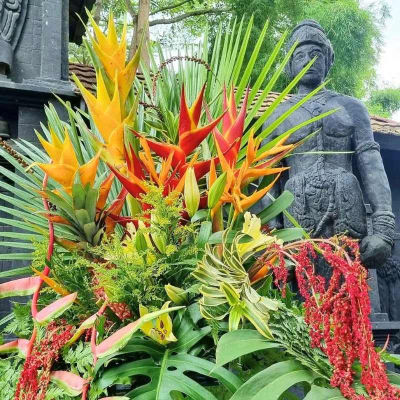 Tropical flowers for outdoor spaces
