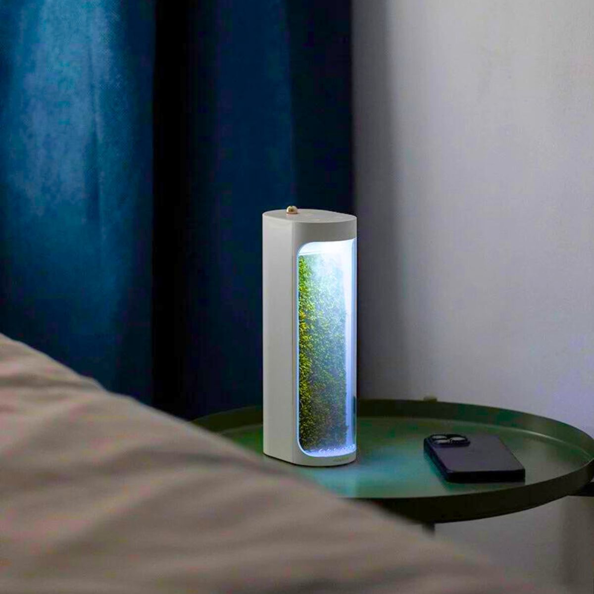 Moss filled humidifier by Moss Lab