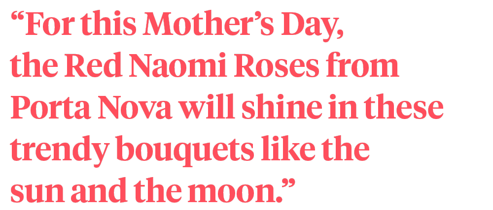 Kazi Sagar Porta Nova Red Naomi quote