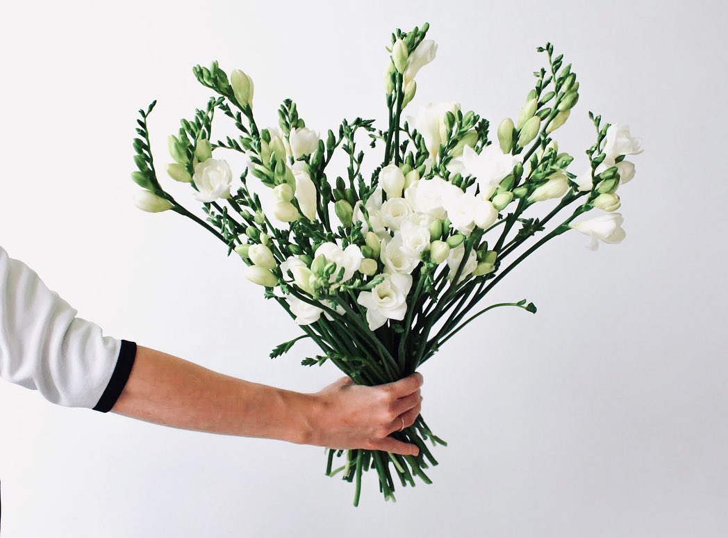 The Beautiful Fragrance-Filled Freesia Florist Favorite