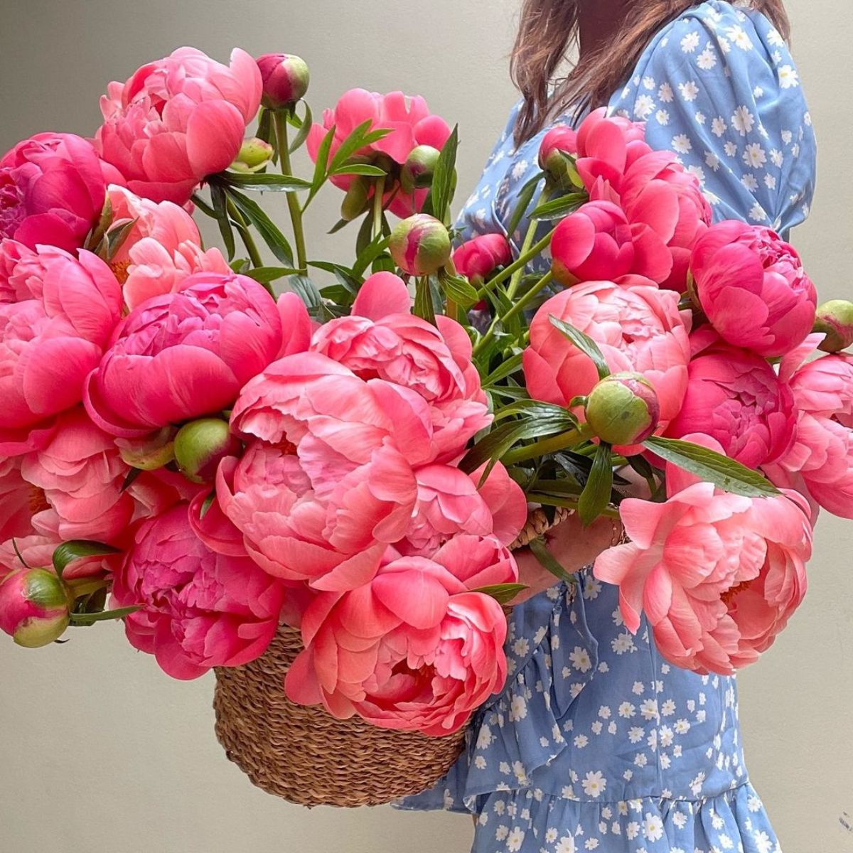 Coral pink peony flowers