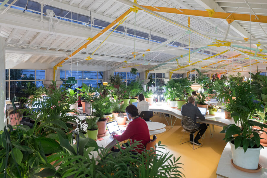 Five Of The Prettiest Green Offices - That offer lots of interior plant inspiration - second home lisboa selgascano interiors - article on thursd